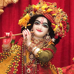 krishna puja